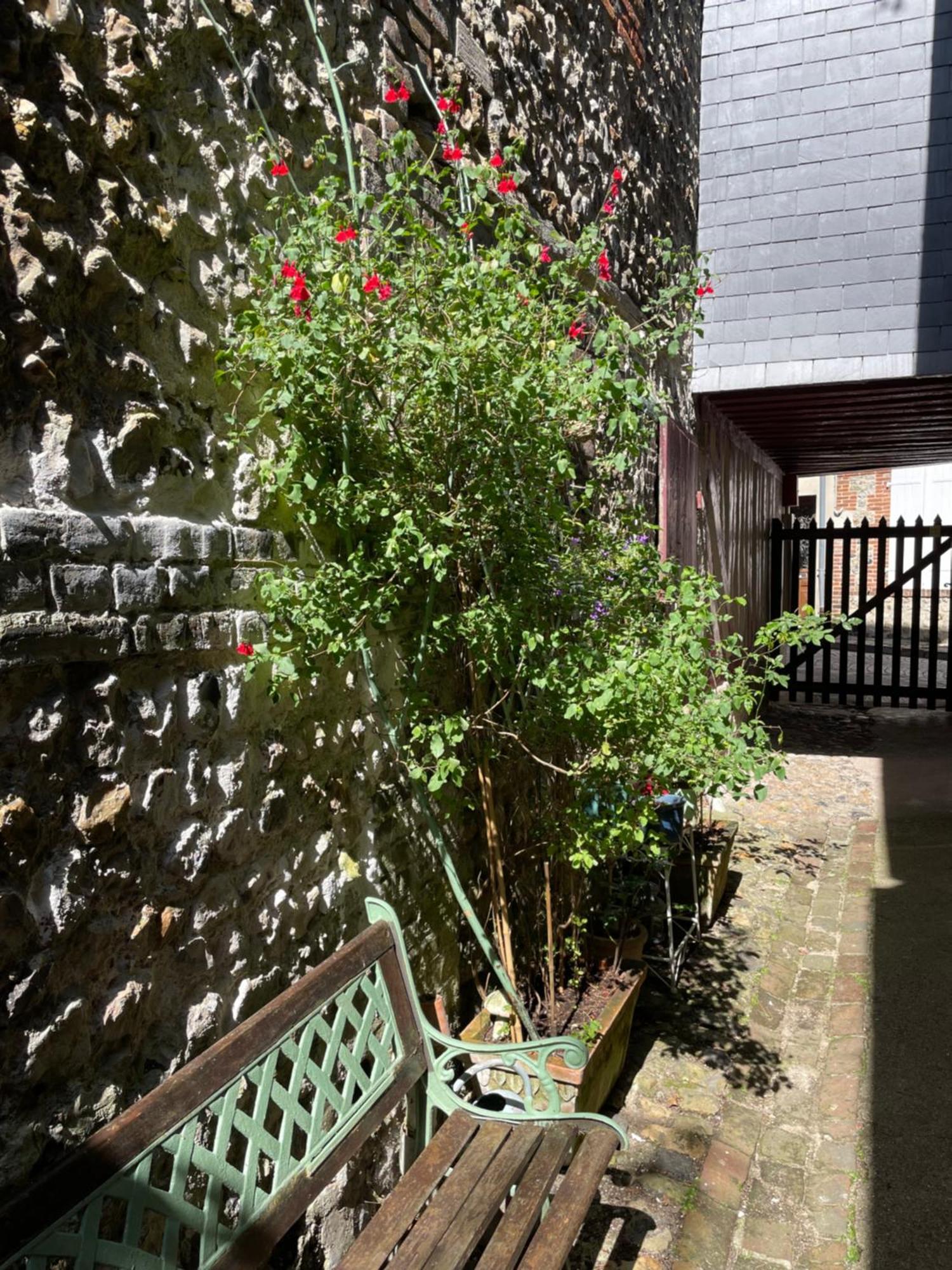 La Maison Belle Maree องเฟลอร์ ภายนอก รูปภาพ